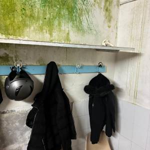 81aa0a02-55d8-4427-966c-b15931e2a979