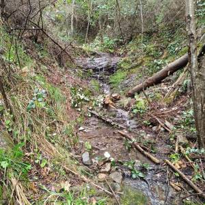 4e124874-49d6-4010-9243-2b403e509d46