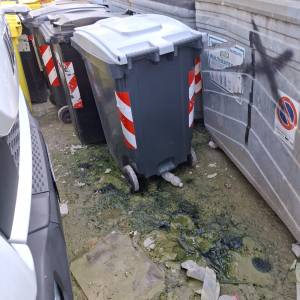 1490caea-e1e2-44b1-bc74-68ca129f6714