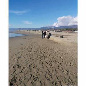 BASSA_Bagni v. Versiliana 2  - Fiumetto -  Marina di Pietrasanta - 15-2-2026