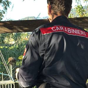 CC Forestale durante il controllo