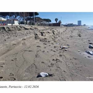 BASSA_Bagno_Fausto_-__Partaccia_-__12-2_-2026__[1627]