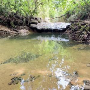 Sopralluoghi somme urgenze (5)
